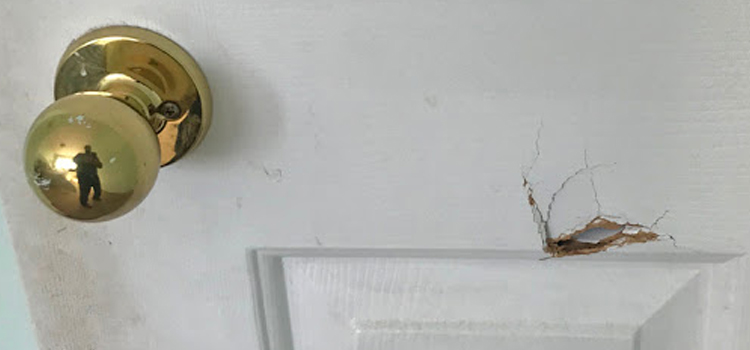 interior door hole repair Pinecrest