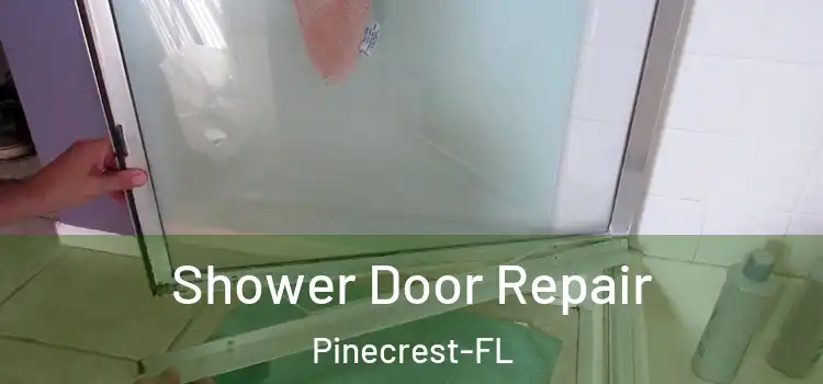  Shower Door Repair Pinecrest-FL